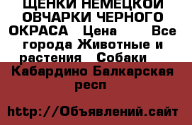 ЩЕНКИ НЕМЕЦКОЙ ОВЧАРКИ ЧЕРНОГО ОКРАСА › Цена ­ 1 - Все города Животные и растения » Собаки   . Кабардино-Балкарская респ.
